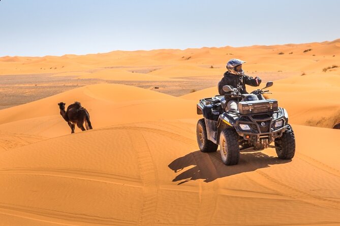 Desert Safari Dubai - Five performances after dinner