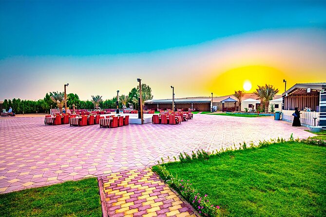 Desert Safari Dubai BBQ Dinner & Live Shows - Who will get the most from this safari