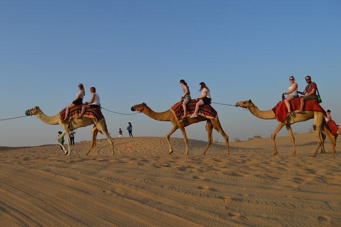 Desert Safari Dubai Experience with Dinner - Key points to know before booking