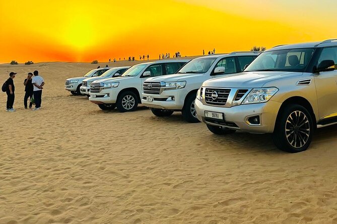 Desert Safari Dubai Experience with Dinner - What the guide service adds
