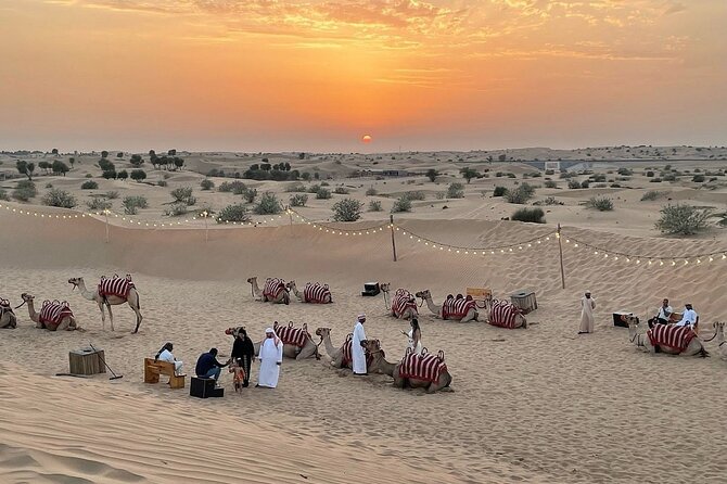 Desert Safari Dubai Experience with Dinner - The 4WD ride across the Dubai desert