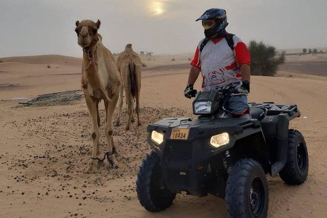 Desert Safari Dubai (PREMIUM VIP) - A full Dubai desert afternoon for $90