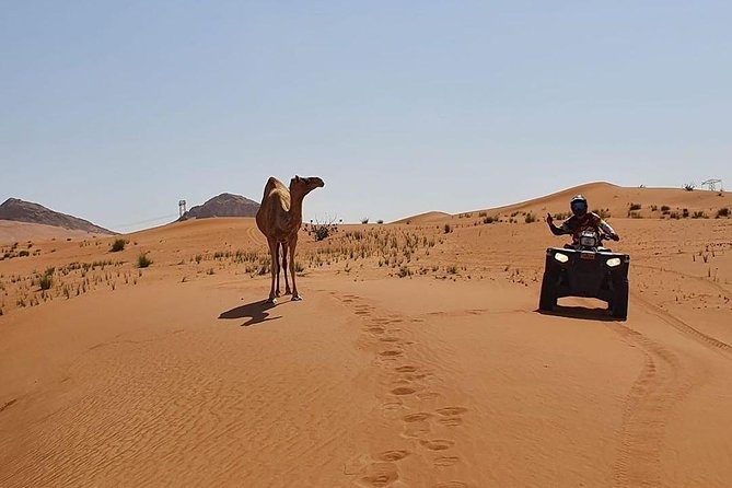 Desert Safari Dubai (PREMIUM VIP) - Sandboarding, sunset views, and the short camel ride