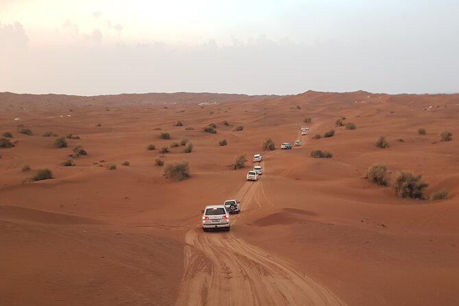 Desert Safari Dubai & Quad Bike with Dinner - Quad biking across the Arabian dunes
