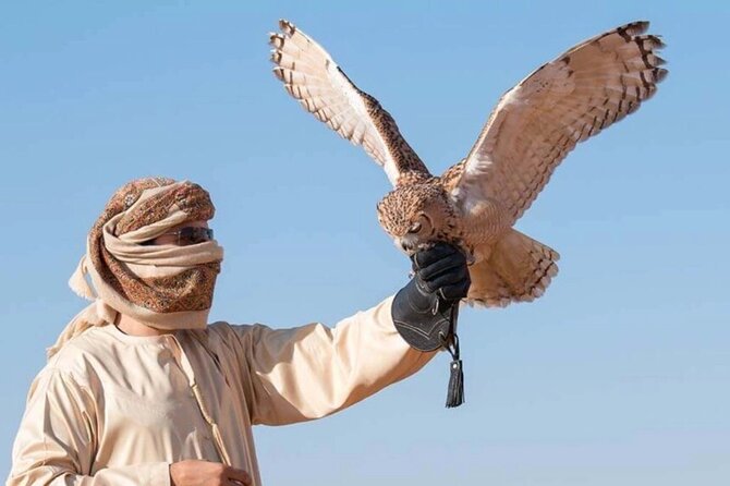 Desert Safari Dubai Sand Bashing, Camel Ride, Shows, Live BBQ - Camel riding and sandboarding at the camp