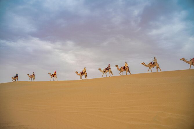 Desert Safari Dubai with BBQ Dinner, Sand Boarding & Camel Ride - Sandboarding is simple, fun, and worth trying