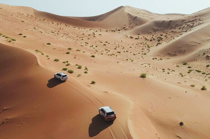 Desert Safari Dubai with Dune Bashing, Activities and Dinner - Key things to know before you book