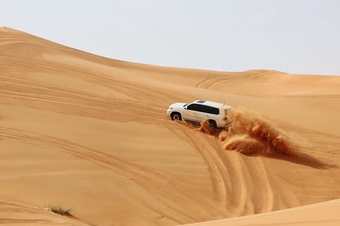 Desert Safari Dubai with Dune Bashing, Activities and Dinner - Camel riding gives you a slower view of the sand