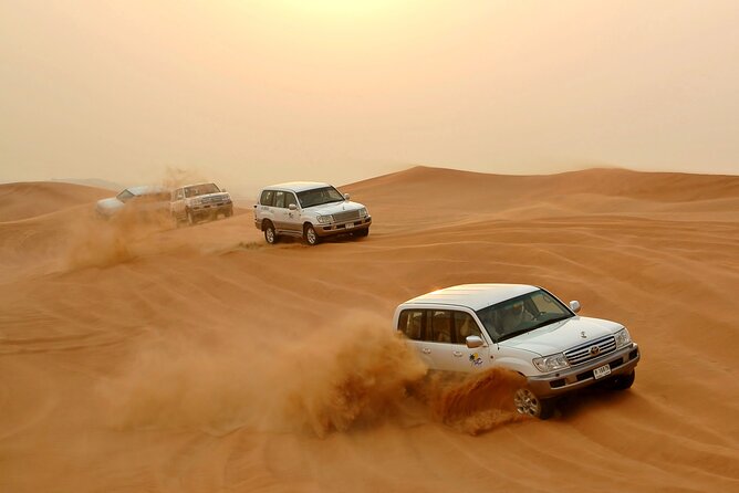 Desert Safari Experience with Dune Bashing and Dinner in Dubai - The 4x4 ride across the Maleha desert