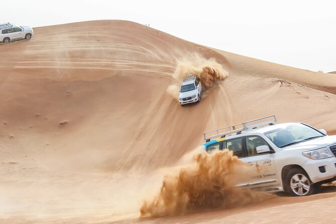 Desert Safari Experience with Dune Bashing and Dinner in Dubai - A camel farm and the desert’s working animal