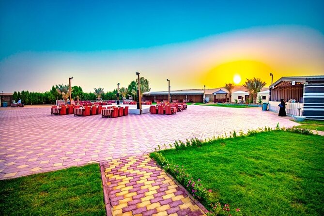 Desert Safari in 4x4 Car with BBQ Dinner and Belly Dance - Belly dancing, tanura, and the fire show