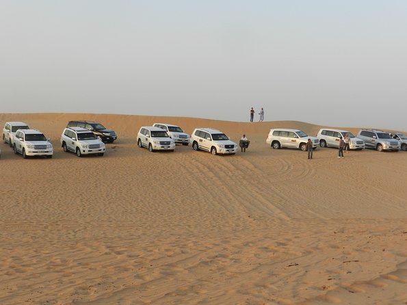 Desert Safari in a 4 x 4 with Sand Ski and Camel Ride from Dubai - The dune ride, the main burst of excitement