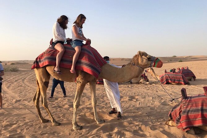 Desert Safari in Dubai - What this six-hour Dubai safari is really selling