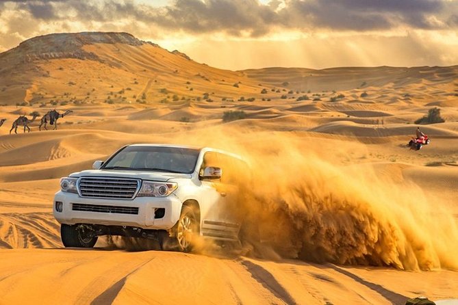 Desert Safari Morning with Camel Ride and Sand Boarding - Sandboarding on the red dunes