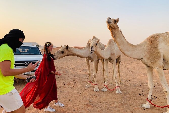Desert Safari, Open Desert Quad Bike Experience with BBQ Dinner - Who will enjoy this safari most?