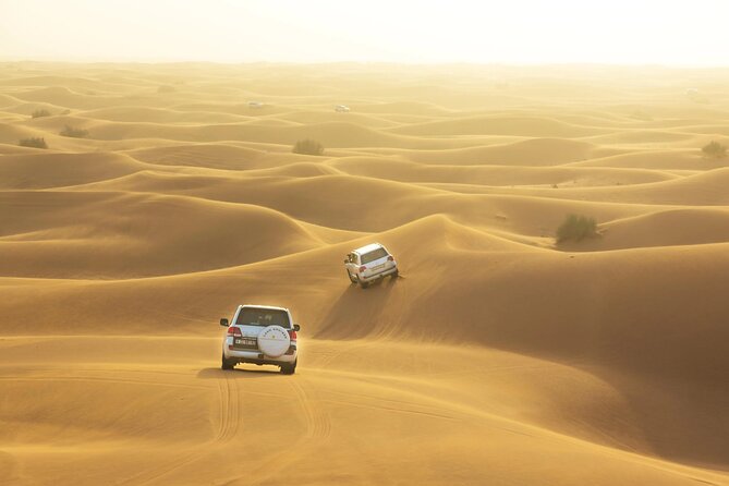Desert Safari, Quad Biking, Sand Surfing and BBQ Dinner In Dubai - What the $128.39 price covers