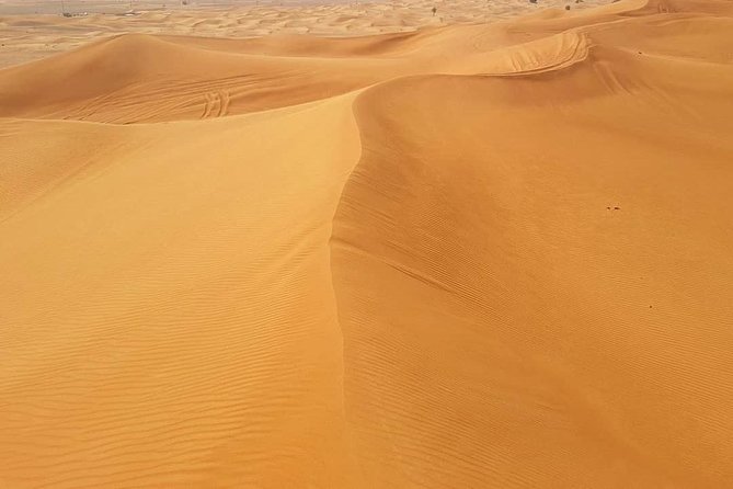 Desert Safari Red Dunes with Camel Ride, Sandboard, BBQ and Shows - Camel ride and sandboarding at the camp