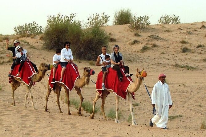 Desert Safari Tour, 6 Hour Fun, Family & Friends, Camel Ride & Dinner Included - Camel rides and the Bedouin-style camp