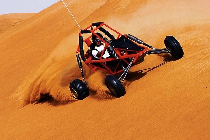 Desert Safari Tour, 6 Hour Fun, Family & Friends, Camel Ride & Dinner Included - Who should book this safari
