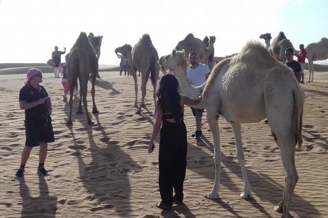 Desert Safari Tour, Quad Bike with BBQ Dinner & Show from Dubai - The quad-bike upgrade: fun, but check the fine print