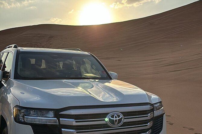 Desert Safari with 30 minutes Buggy Ride with Camel Ride & Dinner - What the $268 group price really buys