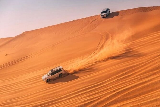 Desert Safari With Bab Al Shams Dinner - Camel rides, horses, ponies, and the falcon photo