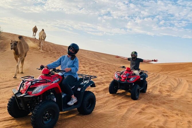 Desert Safari with BBQ Dinner, Camel Ride, Sand Board & Live Show - Camel riding and sandboarding