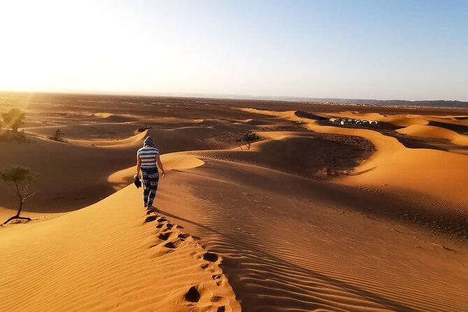 Desert Safari With BBQ Dinner, Quad Ride And And Sand-boarding - Who should book this desert safari?