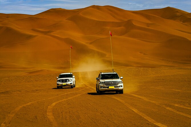 Desert Safari with Camel Riding and BBQ Dinner - Three shows keep the evening moving