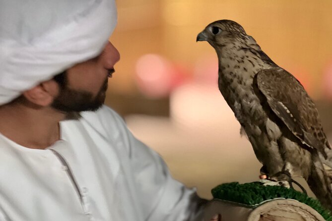 Desert Safari with Dune Bashing and Camel Ride plus Sand Boarding - A fast ride into the Al Khatim desert