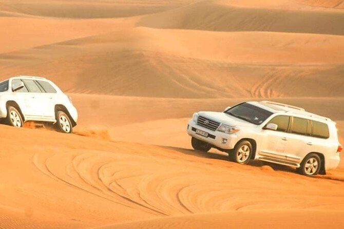 Desert Safari with Dune bashing BBQ Dinner and More Activities - The camel ride keeps things traditional