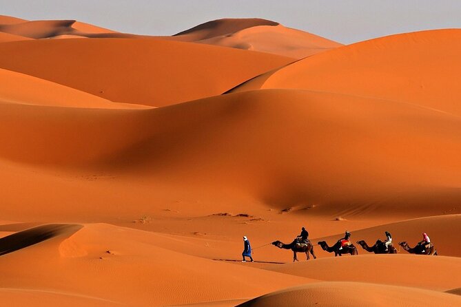 Desert Safari with Quad Bike Ride in Red Dunes - Should you book it?