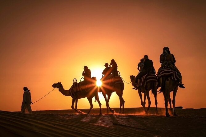 Dinner In Dubai Desert - From Dubai to the red dunes by air-conditioned 4WD