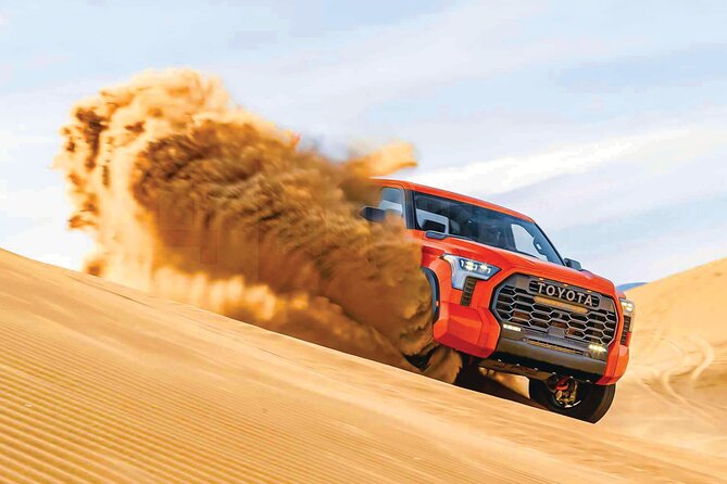 Dinner in the Desert with Traditional Show & Optional Activities - Sunset, carpets, and your first camp activities