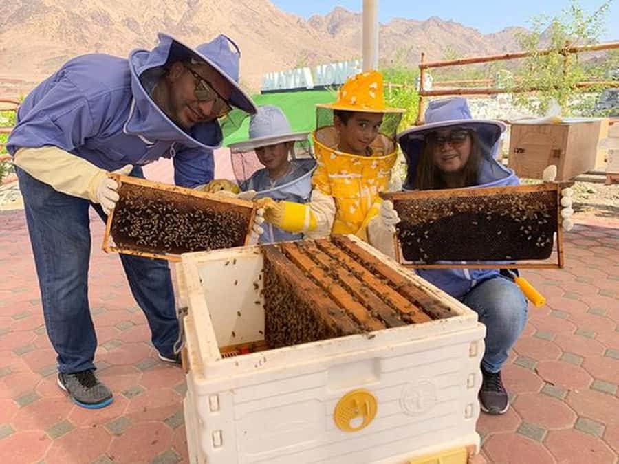 Discover Hatta Hidden Gem Private Tour with Kayaking & Honey - What the $334 group price really buys