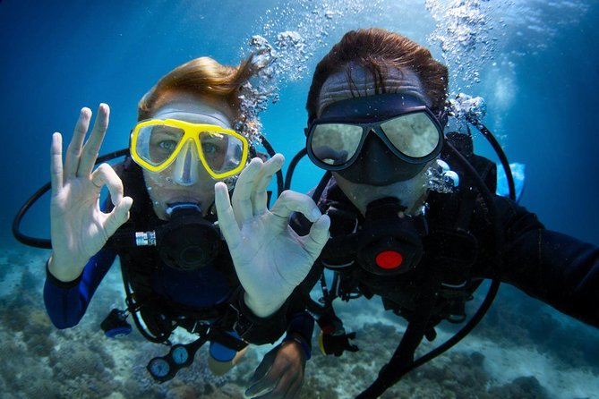 Discover Scuba Diving in Dubai - What this Dubai scuba session is really like