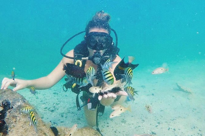 Discover Scuba Diving in Dubai - Who should book this experience