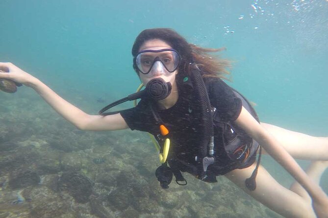 Discovery Scuba Diving in Dubai - Photos, videos, and the small extras