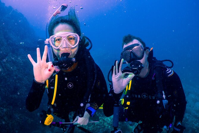Dive trip to the coral reefs of Fujairah for certified scuba divers - What the Gulf of Oman offers underwater