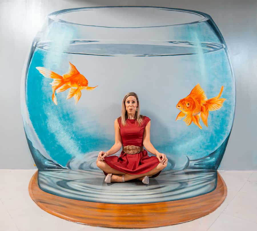 Dubai: 3D World Trick-Art Selfie Museum Entrance - What makes the art worth your time