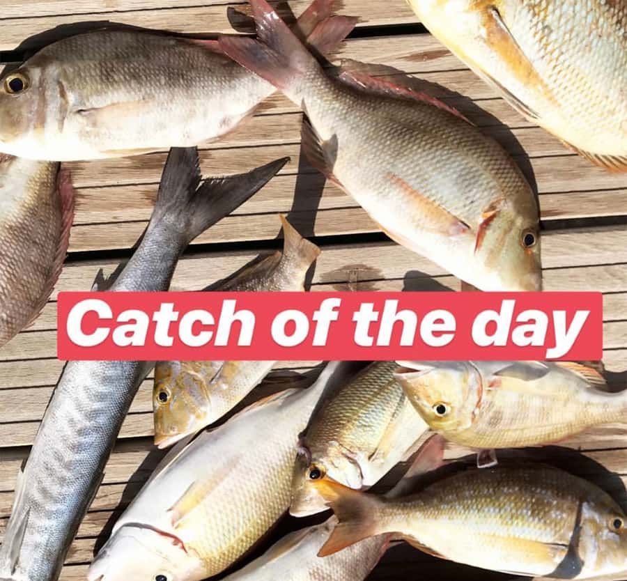 Dubai: 4-Hour Private Deep Sea/Trolling Fishing Trip - Who should book this fishing charter?