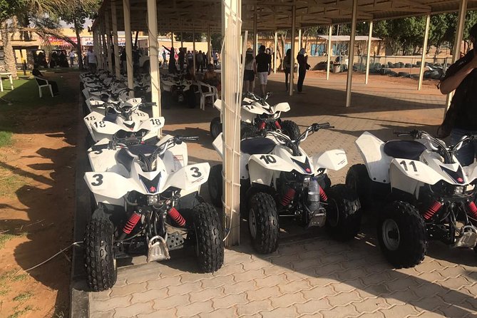Dubai 4 Tours :Desert Safari,Dubai City Tour,Cruise Dinner & Abu Dhabi City Tour - Should you book the four-tour package?
