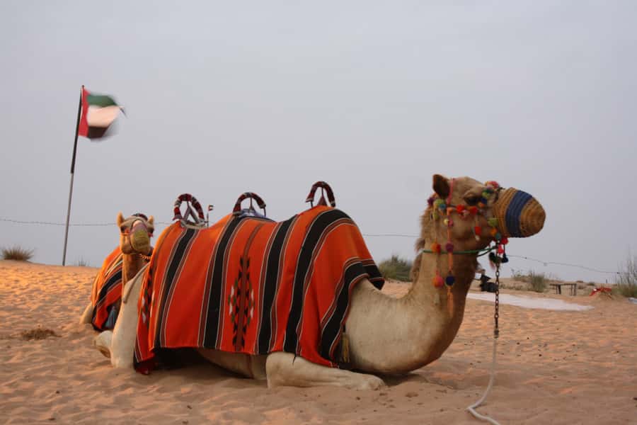 Dubai 4WD Evening Desert Safari - Sunset photo stops among the dunes