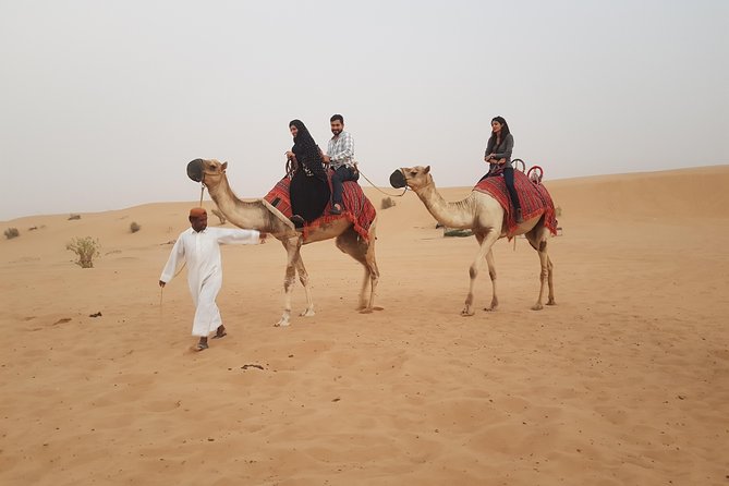 Dubai 4x4 Desert Safari, Quad Bike, Camel Ride & BBQ Dinner - Al Royal Desert Camp after dark