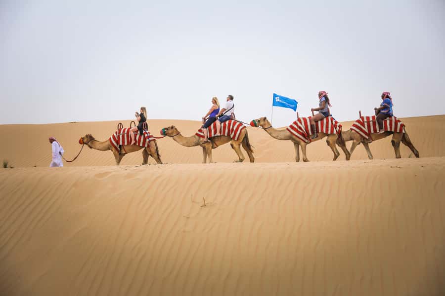 Dubai: Adventure Quad Bike Safari, Camel Ride & Refreshment - Morning calm or afternoon sunset?