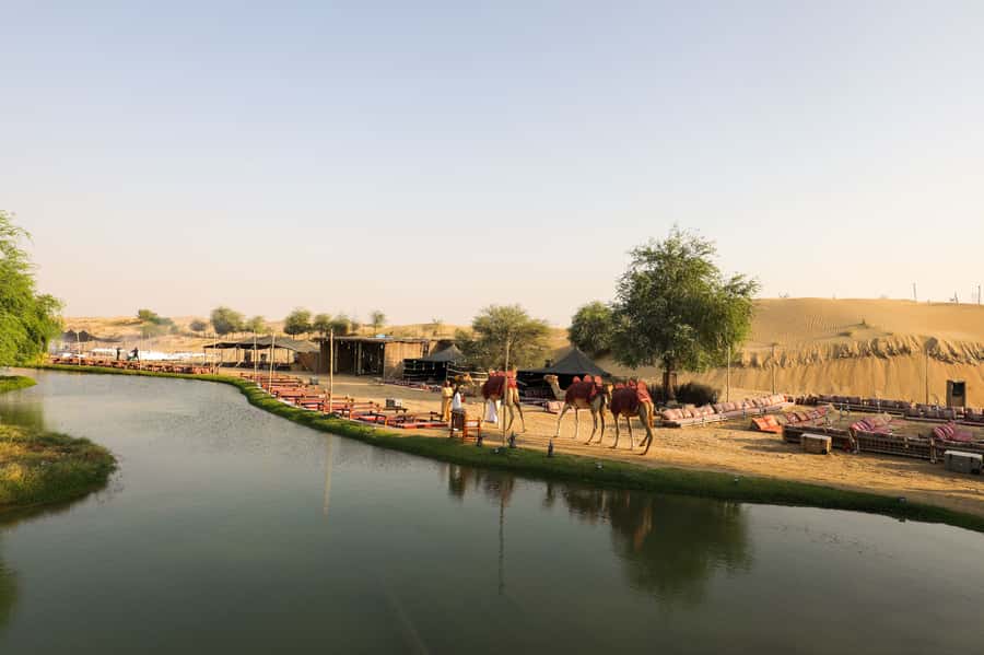 Dubai: Al Marmoom and Al Qudra Lakes Guided Tour with Dinner - Key points to know before booking
