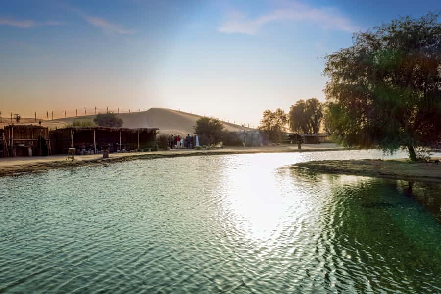 Dubai: Al Marmoom Oasis Safari, Animal Spotting & Breakfast - The camel caravan across the dunes