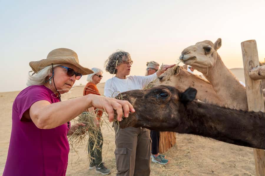 Dubai: Al Marmoom Oasis Safari, Animal Spotting & Breakfast - Who will enjoy this morning safari most