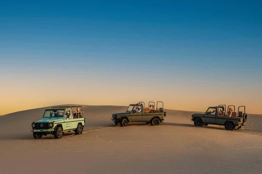 Dubai: Al Marmoom Oasis Safari, Animal Spotting & Breakfast - Wildlife watching from a vintage G-Class