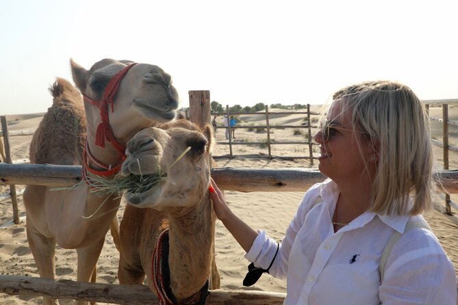 Dubai: Al Marmoom Oasis Vintage Safari: Camels, Stargazing & Meal - A Vintage Mercedes Ride Into Al Marmoom